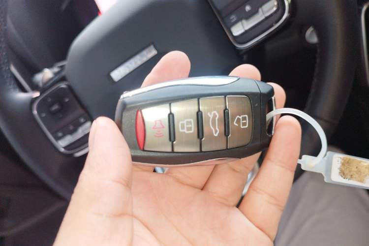 Used Haval DARGO 2024 1.5T DCT Border Collie Edition Interior 1