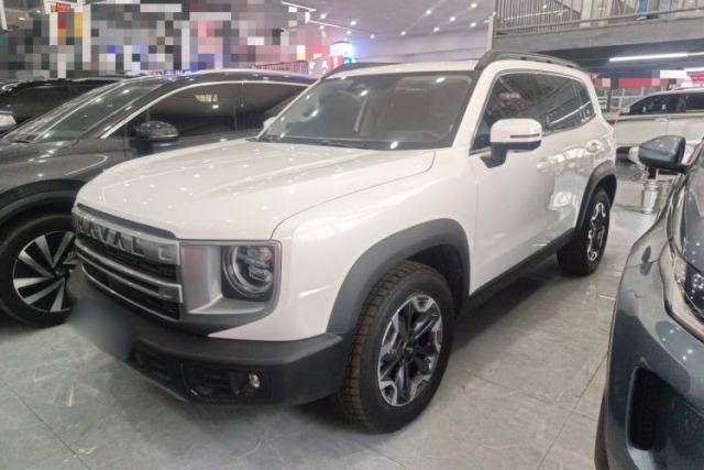 Used Haval DARGO 2024 2.0T DCT Chinese Rural Dog Edition