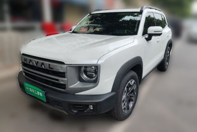Used Haval DARGO 2024 2.0T DCT Chinese Rural Dog Edition