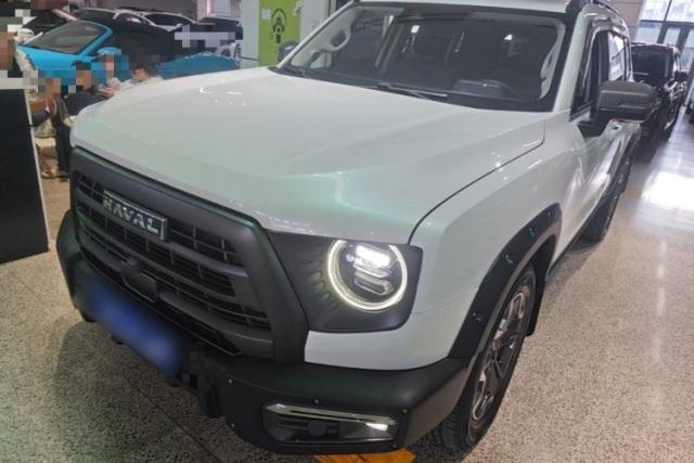 Used Haval DARGO 2024 2.0T DCT Chinese Rural Dog Edition