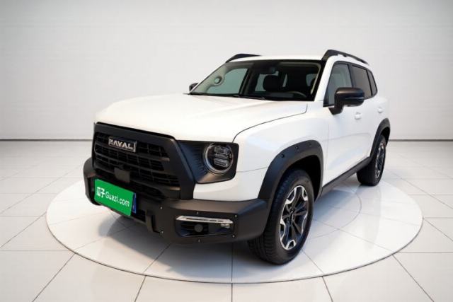 Used Haval DARGO 2024 2.0T DCT Chinese Rural Dog Edition