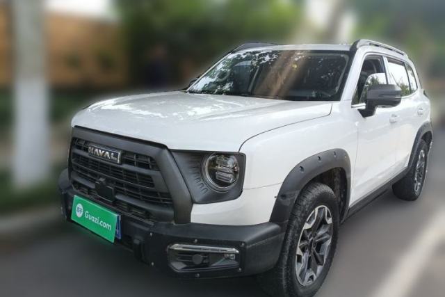Used Haval DARGO 2024 2.0T DCT Chinese Rural Dog Edition