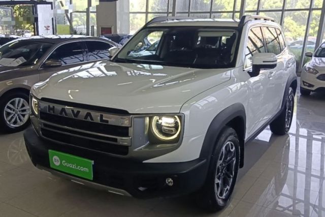 Used Haval DARGO 2024 2.0T DCT Chinese Rural Dog Edition