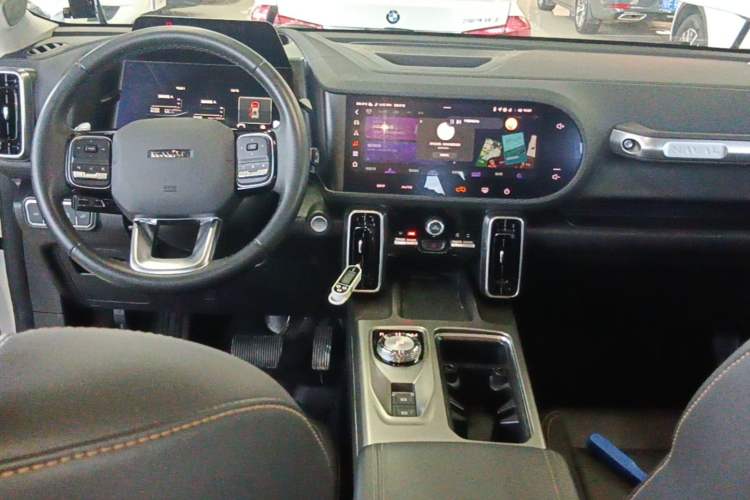 Used Haval DARGO 2024 2.0T DCT Chinese Rural Dog Edition Center Console