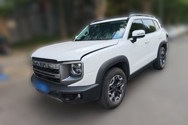 Used Haval DARGO 2024 2.0T DCT Chinese Rural Dog Edition