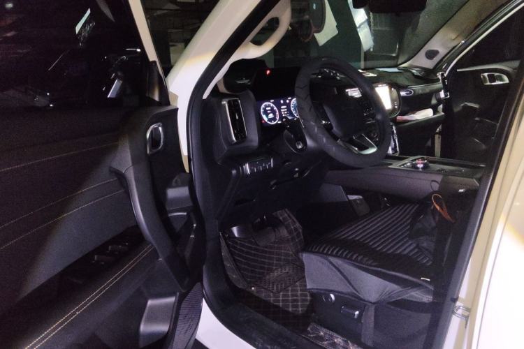 Used Haval DARGO 2024 2.0T DCT Chinese Rural Dog Edition Driver Seat