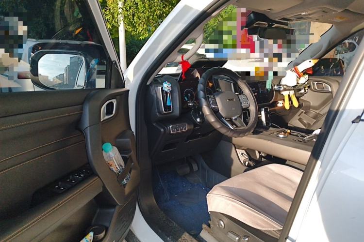 Used Haval DARGO 2024 2.0T DCT Chinese Rural Dog Edition Driver Seat