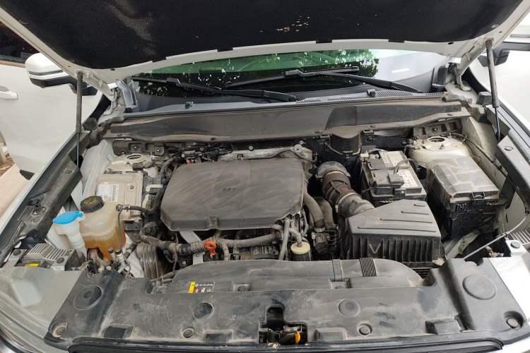 Used Haval DARGO 2024 2.0T DCT Chinese Rural Dog Edition Engine Bay