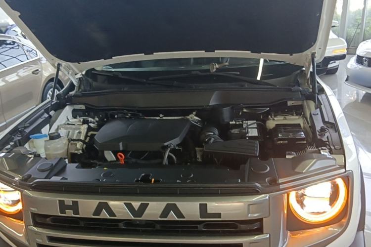 Used Haval DARGO 2024 2.0T DCT Chinese Rural Dog Edition Engine Bay