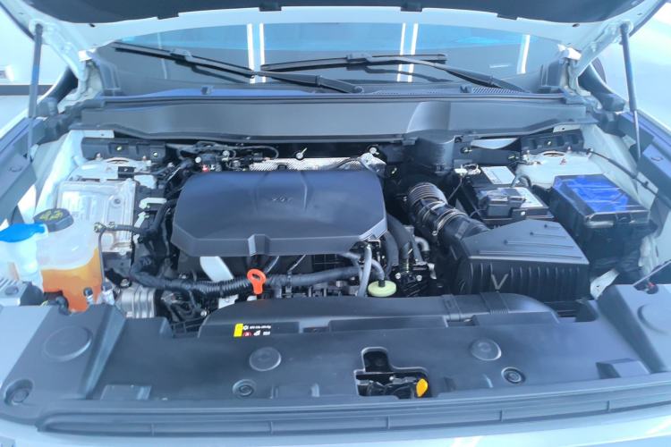 Used Haval DARGO 2024 2.0T DCT Chinese Rural Dog Edition Engine Bay