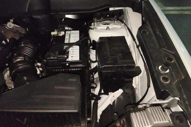 Used Haval DARGO 2024 2.0T DCT Chinese Rural Dog Edition Engine Bay Left