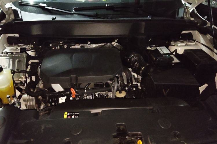 Used Haval DARGO 2024 2.0T DCT Chinese Rural Dog Edition Engine Bay
