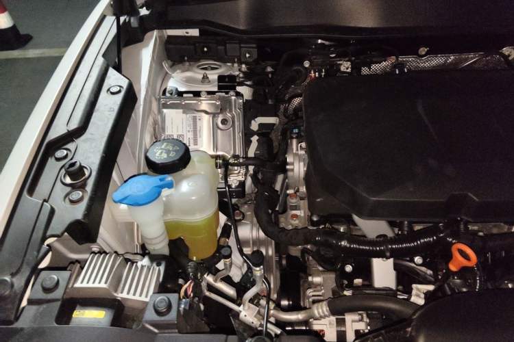 Used Haval DARGO 2024 2.0T DCT Chinese Rural Dog Edition Engine Bay Right