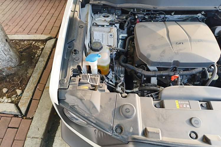 Used Haval DARGO 2024 2.0T DCT Chinese Rural Dog Edition Engine Bay Right
