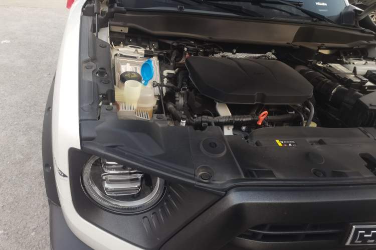 Used Haval DARGO 2024 2.0T DCT Chinese Rural Dog Edition Engine Bay Right