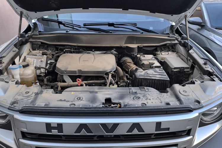 Used Haval DARGO 2024 2.0T DCT Chinese Rural Dog Edition Engine Bay