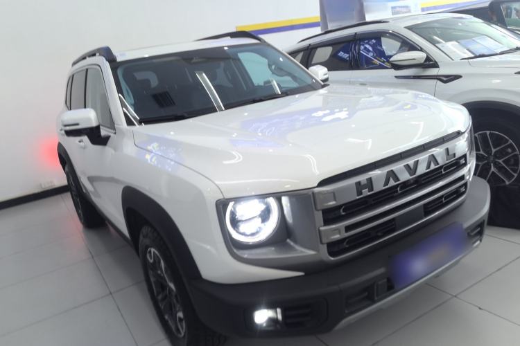 Used Haval DARGO 2024 2.0T DCT Chinese Rural Dog Edition Exterior 1