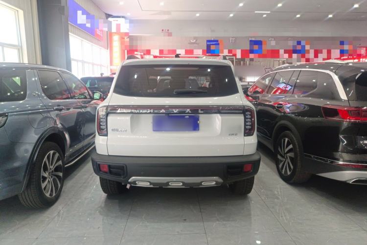 Used Haval DARGO 2024 2.0T DCT Chinese Rural Dog Edition Exterior 3