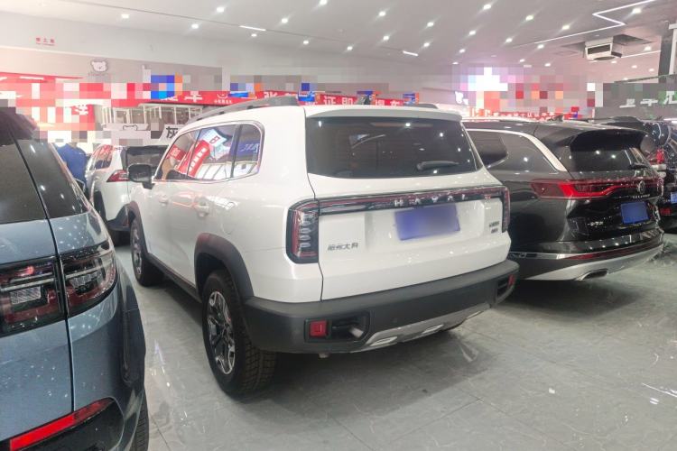 Used Haval DARGO 2024 2.0T DCT Chinese Rural Dog Edition Exterior 4
