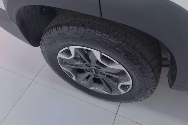 Used Haval DARGO 2024 2.0T DCT Chinese Rural Dog Edition Exterior 4