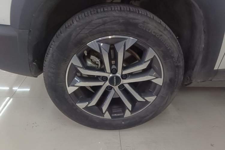 Used Haval DARGO 2024 1.5T DCT Labrador Edition Exterior 4