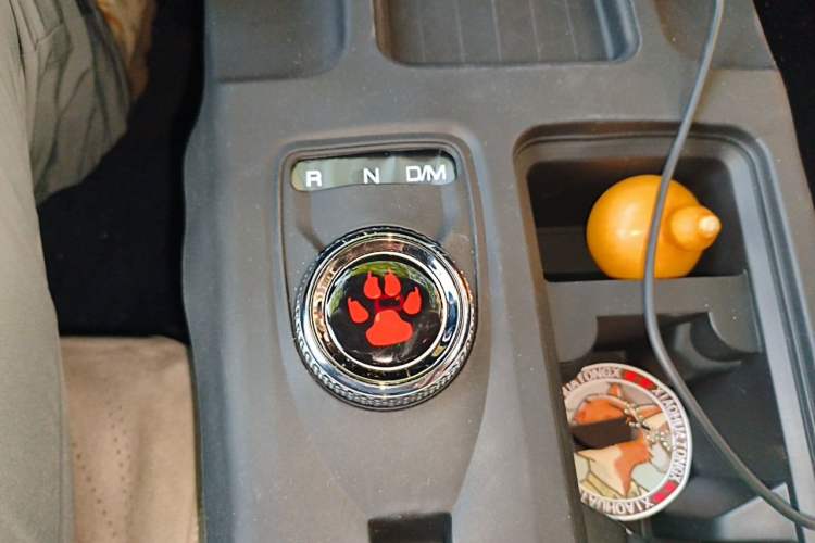 Used Haval DARGO 2024 2.0T DCT Chinese Rural Dog Edition Gear Lever
