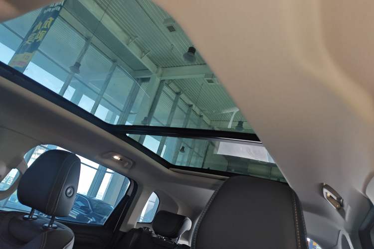 Used Haval DARGO 2024 1.5T DCT Border Collie Edition Headliner