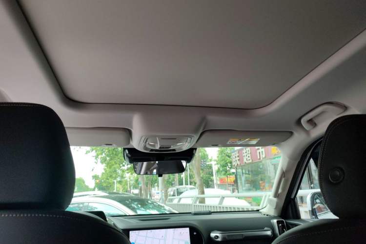 Used Haval DARGO 2024 2.0T DCT Chinese Rural Dog Edition Headliner