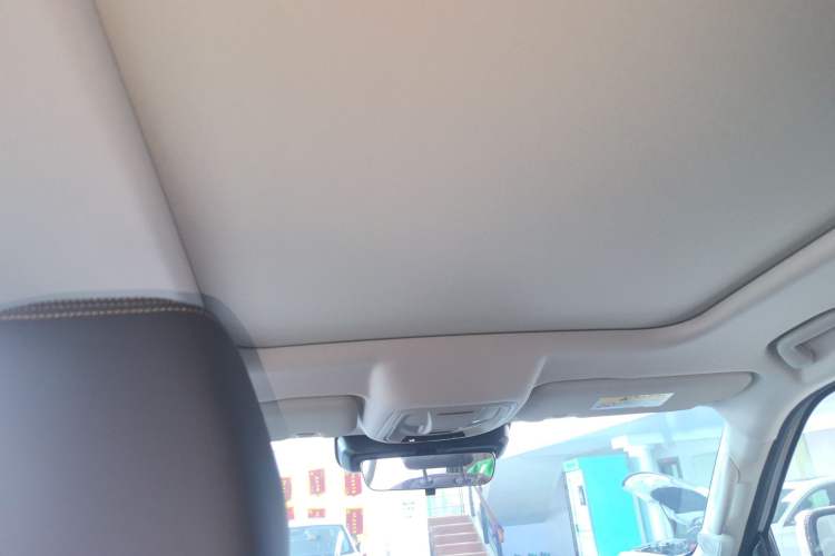 Used Haval DARGO 2024 2.0T DCT Chinese Rural Dog Edition Headliner