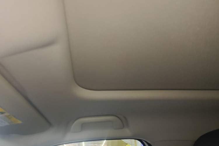 Used Haval DARGO 2024 1.5T DCT Border Collie Edition Headliner