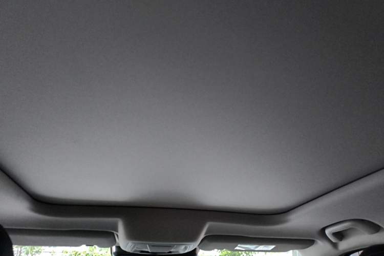 Used Haval DARGO 2024 2.0T DCT Chinese Rural Dog Edition Headliner