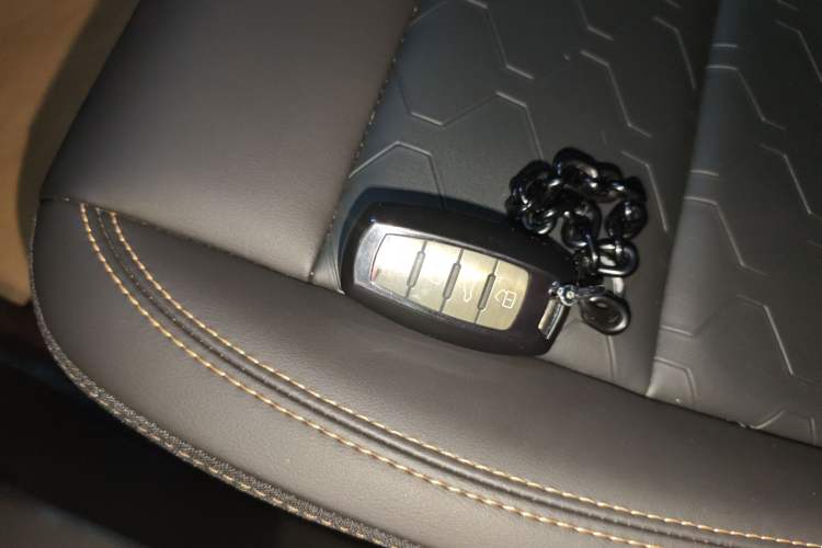 Used Haval DARGO 2024 1.5T DCT Border Collie Edition Interior 1