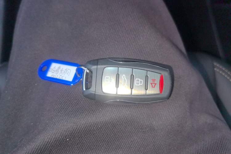 Used Haval DARGO 2024 2.0T DCT Chinese Rural Dog Edition Interior 1