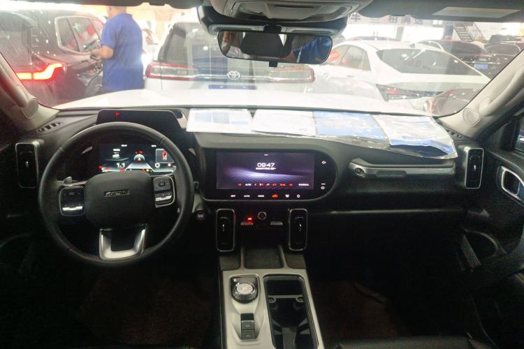 Used Haval DARGO 2024 2.0T DCT Chinese Rural Dog Edition Interior 3