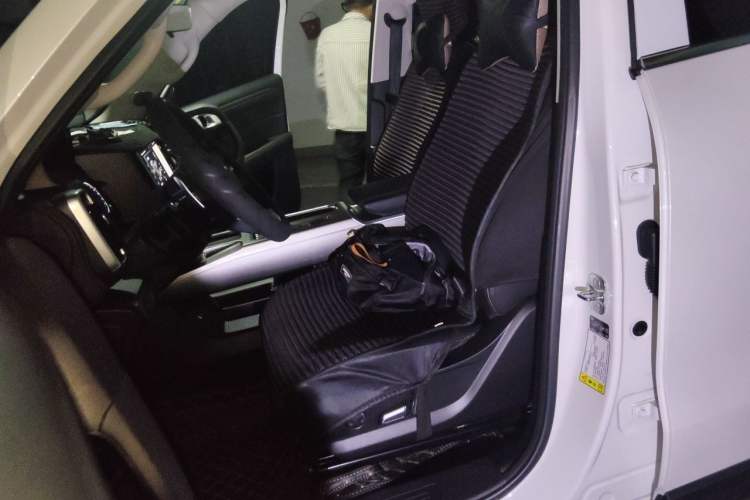 Used Haval DARGO 2024 2.0T DCT Chinese Rural Dog Edition Left Front Seat