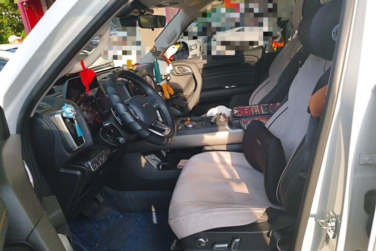 Used Haval DARGO 2024 2.0T DCT Chinese Rural Dog Edition Left Front Seat