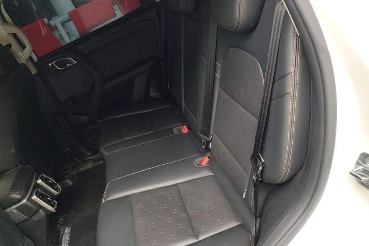 Used Haval DARGO 2024 2.0T DCT Chinese Rural Dog Edition Left Rear Seat