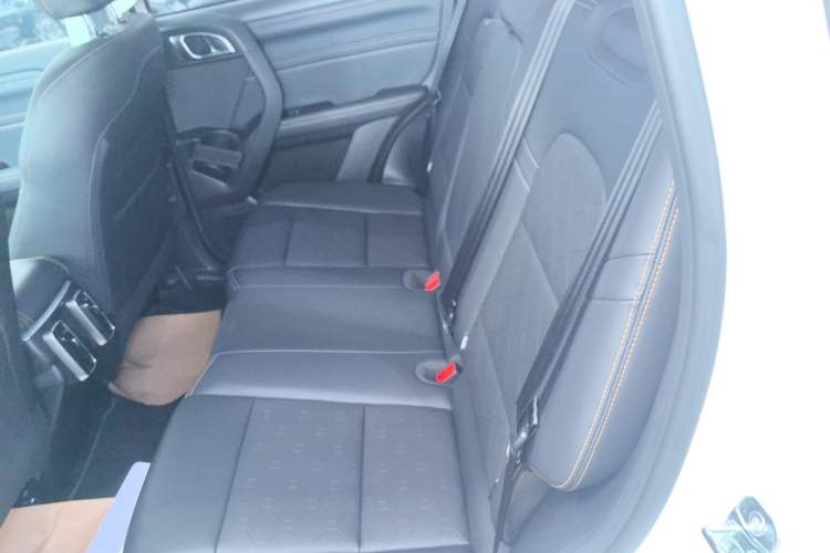 Used Haval DARGO 2024 2.0T DCT Chinese Rural Dog Edition Left Rear Seat