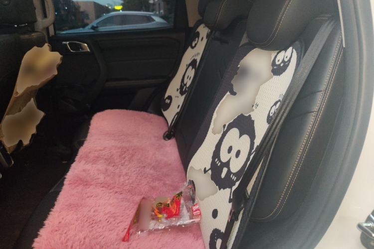 Used Haval DARGO 2024 1.5T DCT Border Collie Edition Left Rear Seat