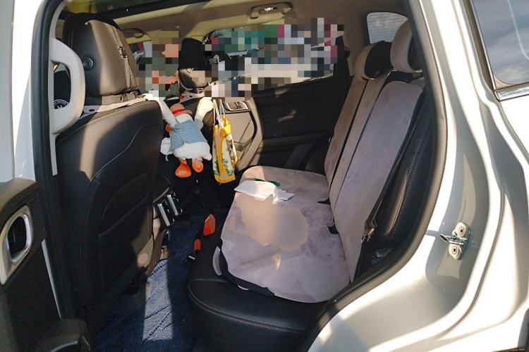 Used Haval DARGO 2024 2.0T DCT Chinese Rural Dog Edition Left Rear Seat