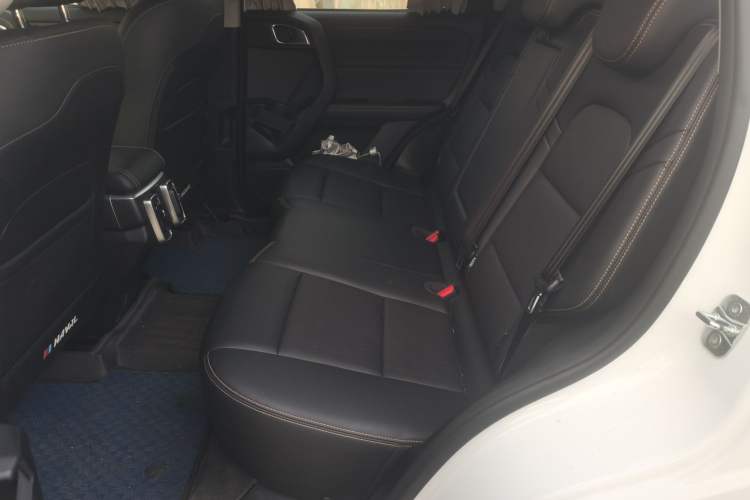 Used Haval DARGO 2024 2.0T DCT Chinese Rural Dog Edition Left Rear Seat