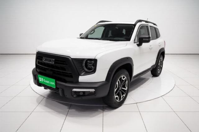 Used Haval DARGO 2024 2.0T DCT Chinese Rural Dog Edition