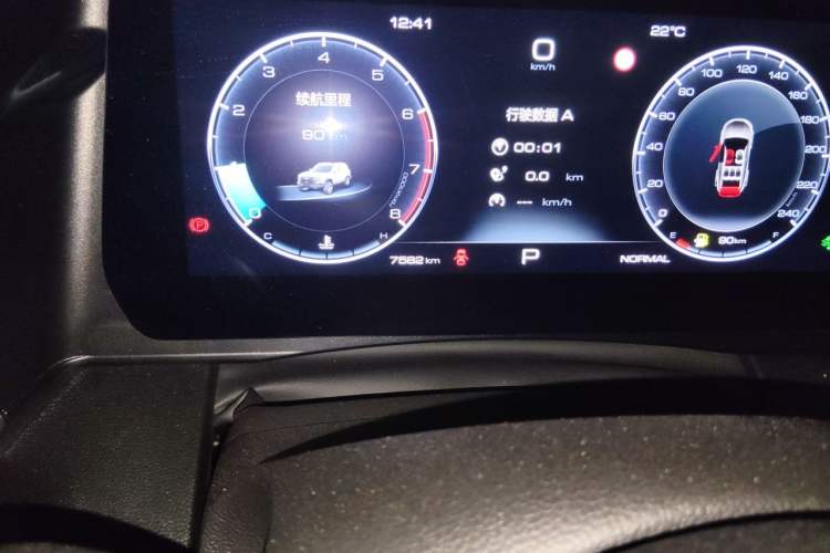 Used Haval DARGO 2024 2.0T DCT Chinese Rural Dog Edition Odometer Close Up