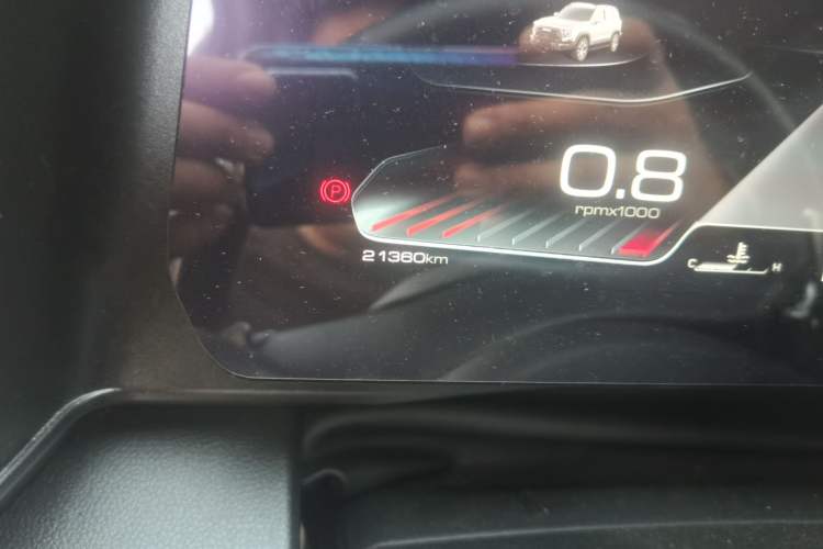 Used Haval DARGO 2024 2.0T DCT Chinese Rural Dog Edition Odometer Close Up