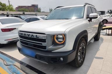 Used Haval DARGO 2024 2.0T DCT Chinese Rural Dog Edition