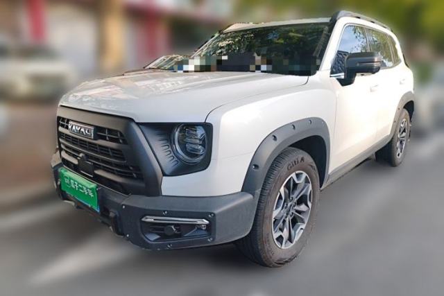Used Haval DARGO 2024 2.0T DCT Chinese Rural Dog Edition