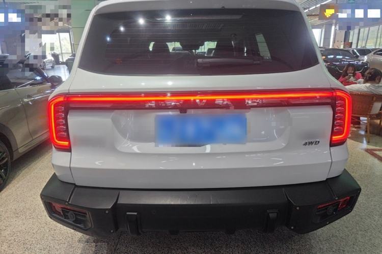 Used Haval DARGO 2024 2.0T DCT Chinese Rural Dog Edition Rear