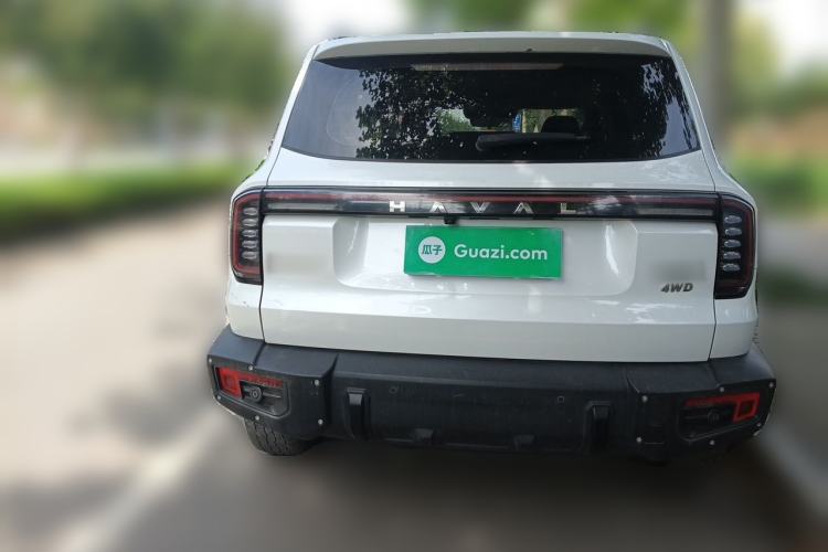 Used Haval DARGO 2024 2.0T DCT Chinese Rural Dog Edition Rear