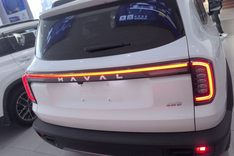 Used Haval DARGO 2024 2.0T DCT Chinese Rural Dog Edition Rear