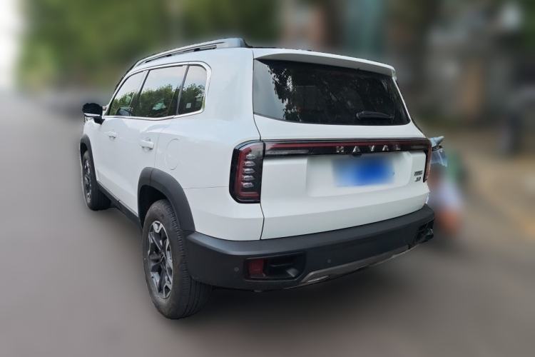 Used Haval DARGO 2024 2.0T DCT Chinese Rural Dog Edition Rear Left 45 Deg